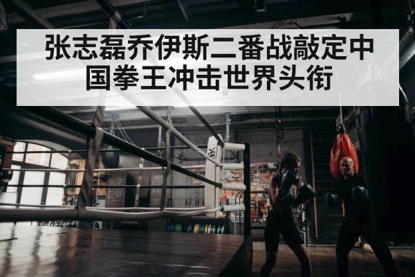 boxer training